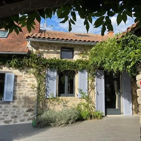 Lime Tree Saint-Saud-Lacoussiere