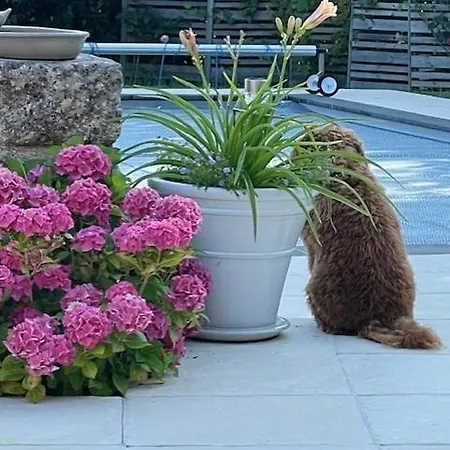 Lime Tree Holiday home