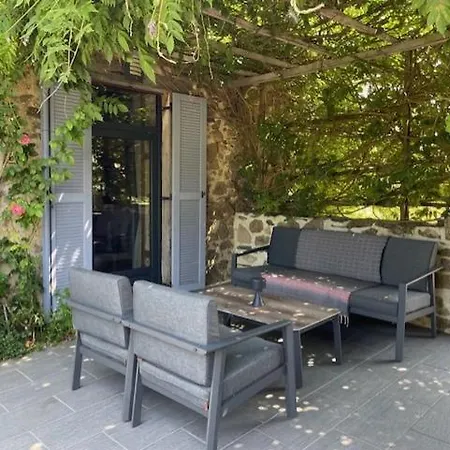 Lime Tree Saint-Saud-Lacoussiere