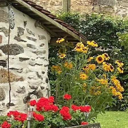 Holiday home Lime Tree Saint-Saud-Lacoussiere