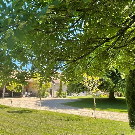 Lime Tree * Saint-Saud-Lacoussière