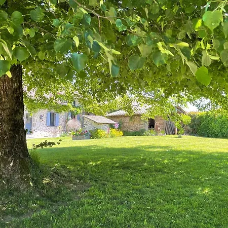 Lime Tree Hébergement de vacances