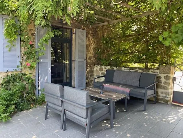 Lime Tree Saint-Saud-Lacoussière