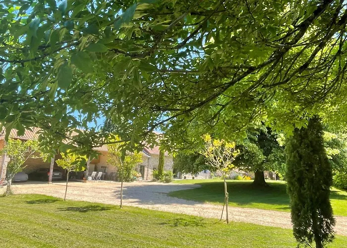 Lime Tree * Saint-Saud-Lacoussière