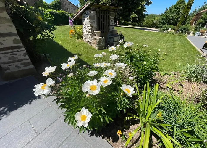 Feriehus Lime Tree *