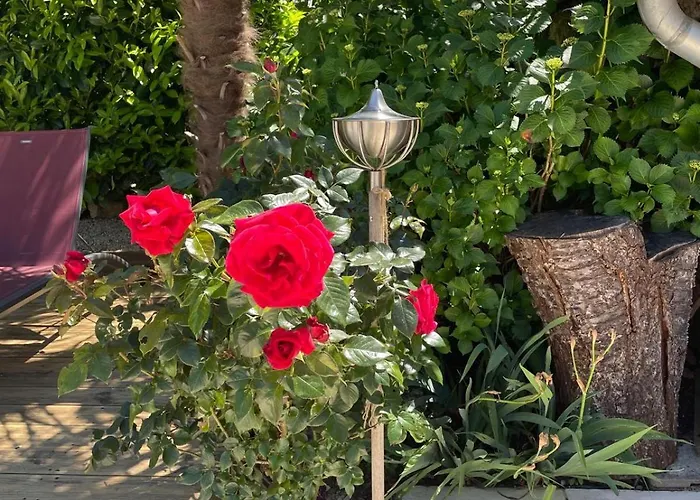 Дом отдыха Lime Tree *